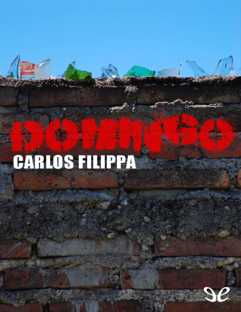 DOMINGO Spanish Edition Carlos Filippa Kitap Kapağı