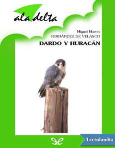 Dardo y Huracan Spanish Edition Miguel Martin Fernandez de Velasco Kitap Kapağı