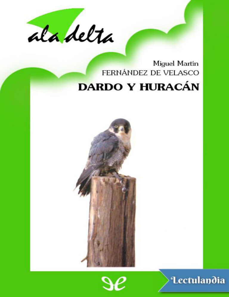 Dardo y Huracan Spanish Edition Miguel Martin Fernandez de Velasco Kitap Kapağı