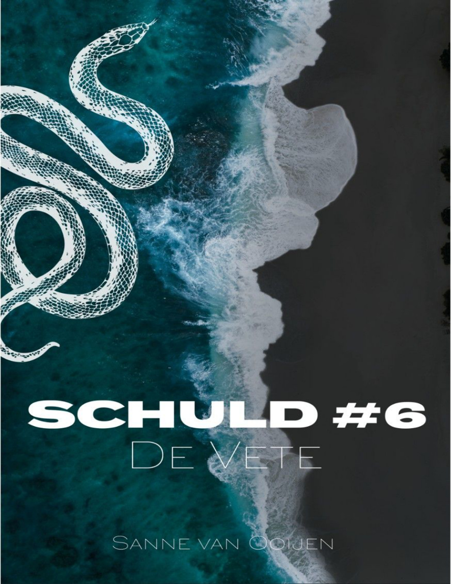 De Vete schuld 6 PDF Download