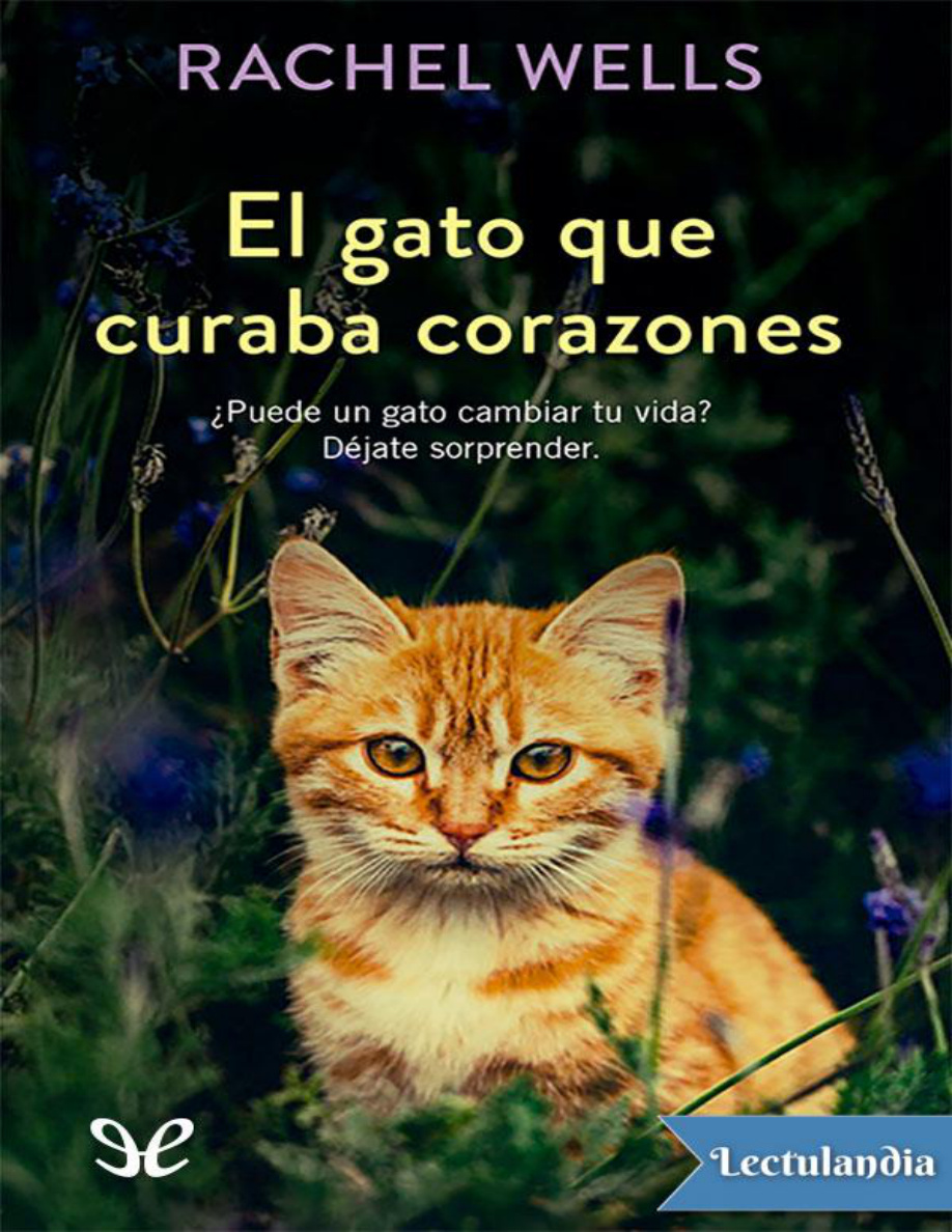 El gato que curaba corazones PDF Download