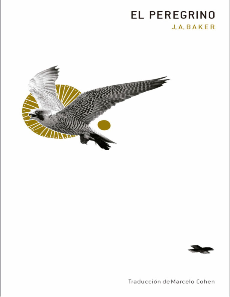 El peregrino Spanish Edition Baker JA Kitap Kapağı
