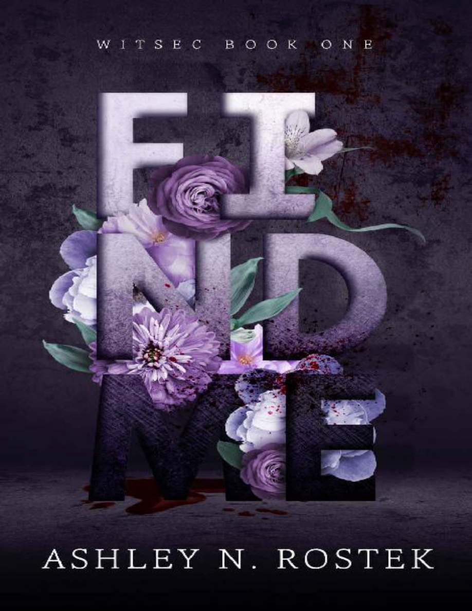 Find Me PDF Download