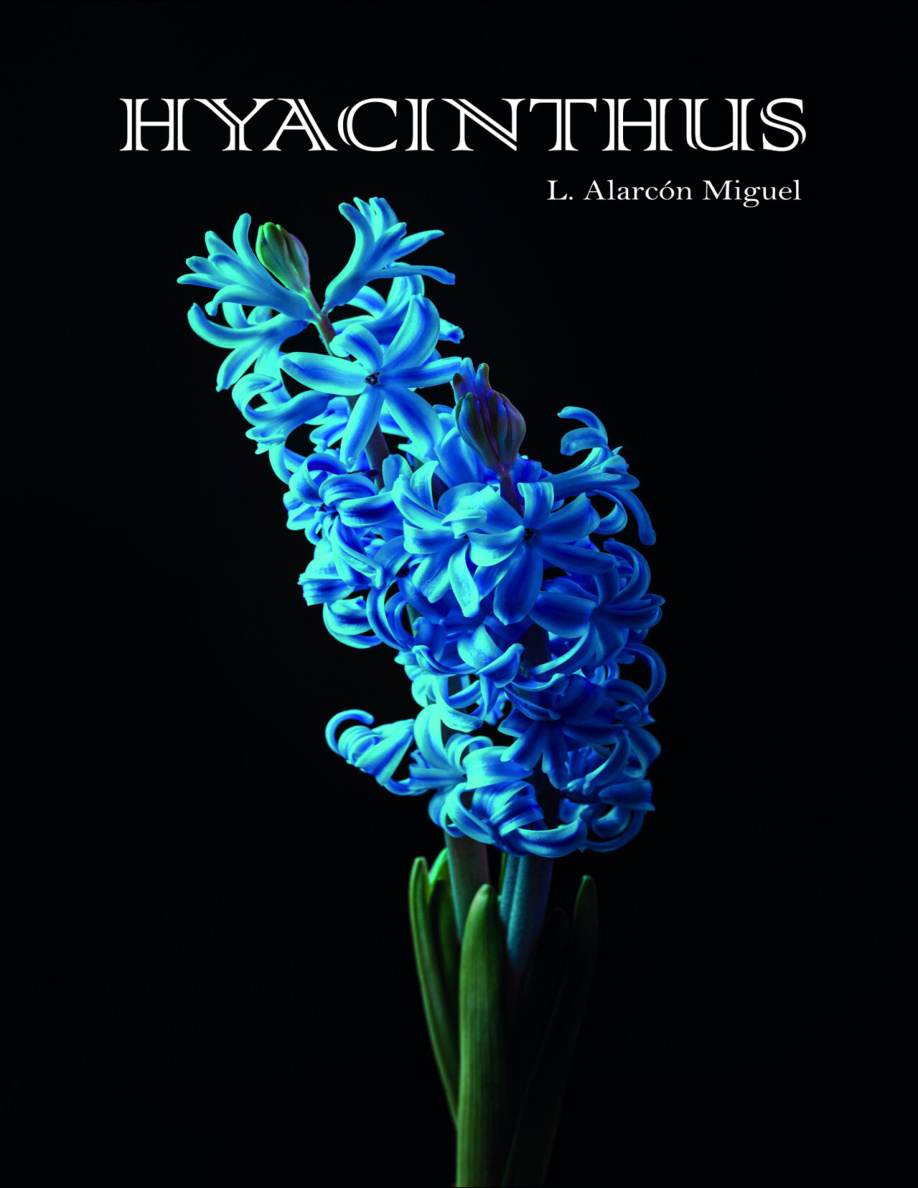 Hyacinthus (1) PDF Download