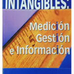 Intangibles Spanish Edition Lev Kitap Kapağı