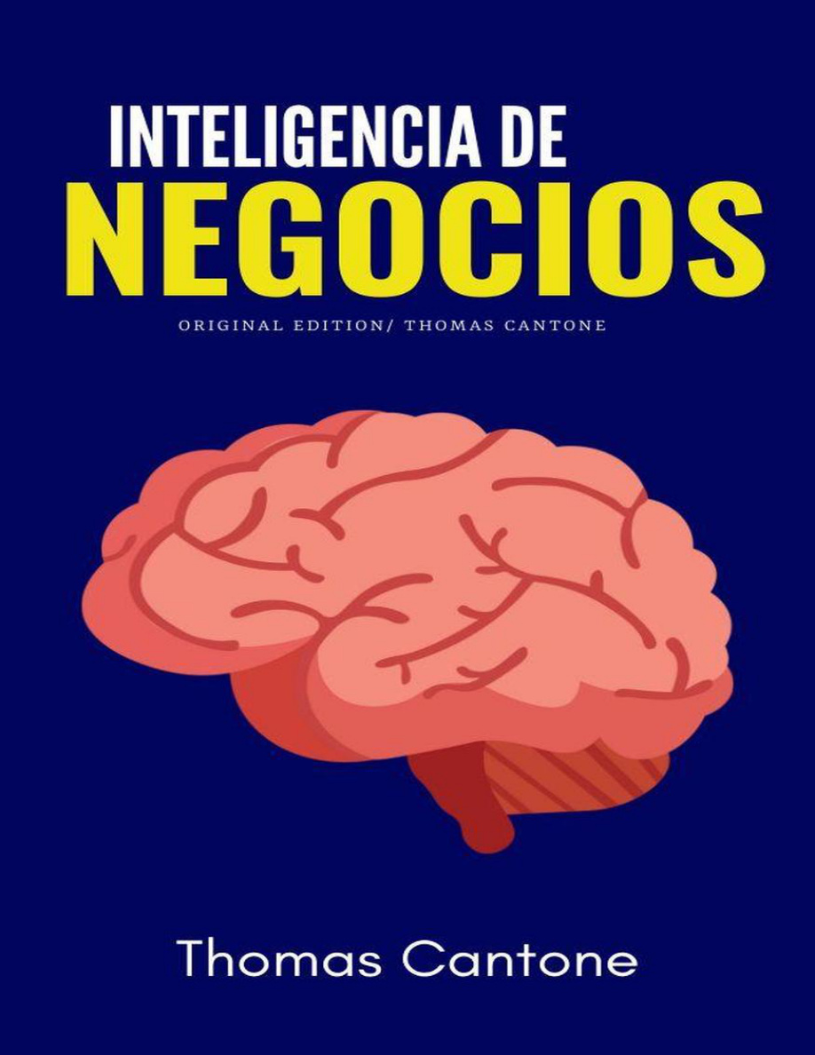 Inteligencia de Negocios PDF Download