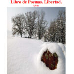 Libro De Poemas Spanish Edition Garcia Zurro Luis Miguel Kitap Kapağı
