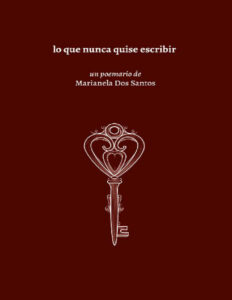 Lo que nunca quise escribir Spanish Edition Marianela Dos Santos Kitap Kapağı