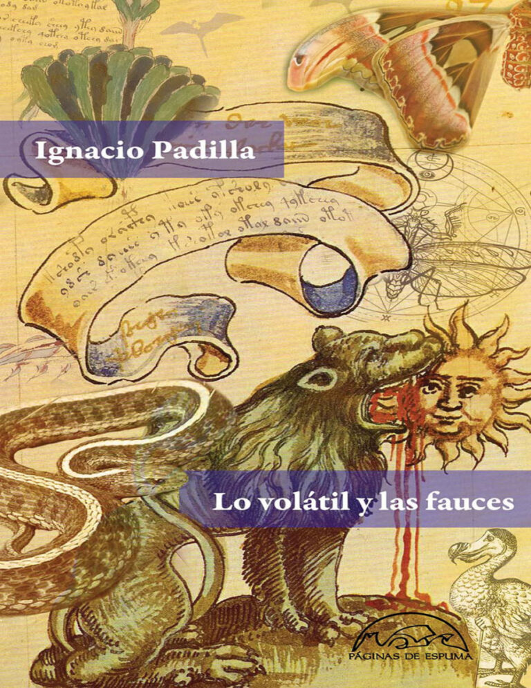 Lo volatil y las fauces Spanish Edition Ignacio padilla Kitap Kapağı