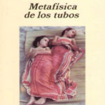 Metafisica de los tubos Spanish Edition Amelie Nothomb Kitap Kapağı