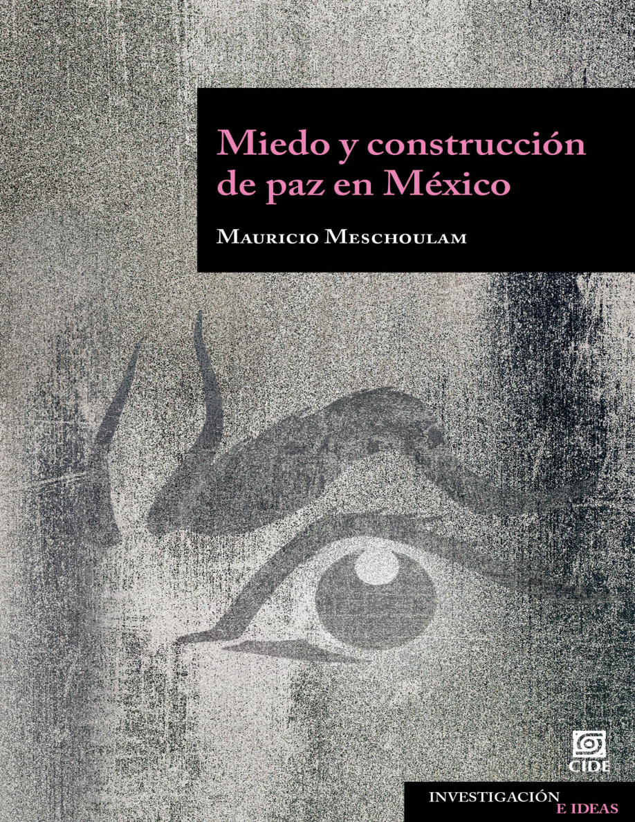 Miedo y construcción de paz en México PDF Download