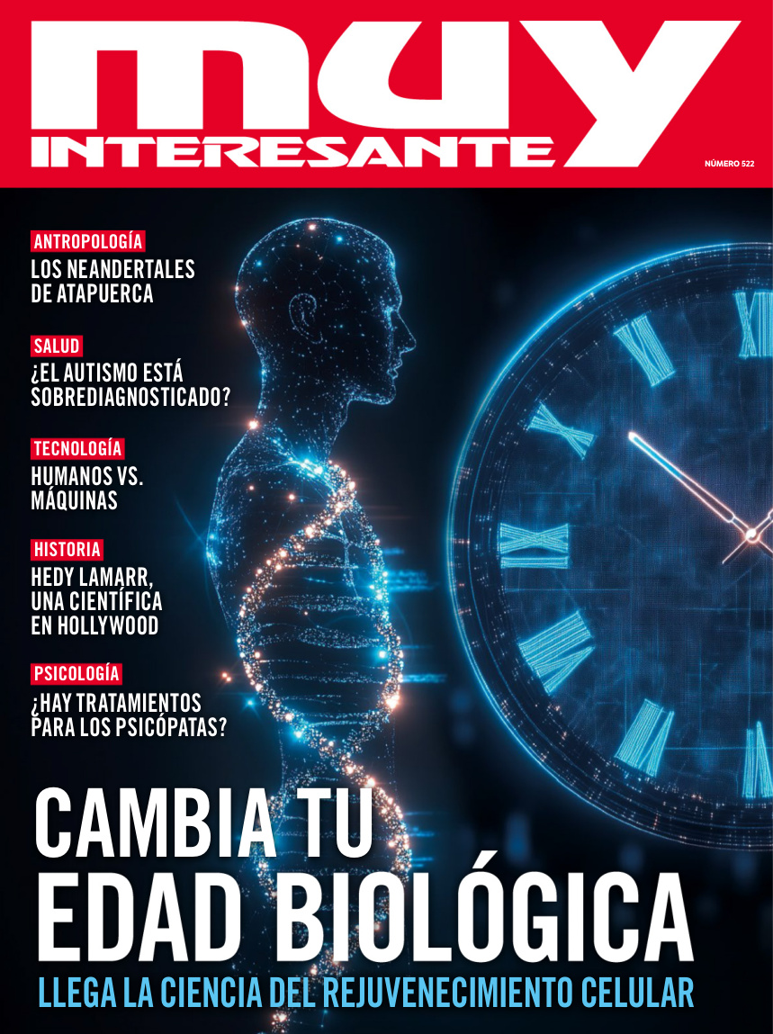 Muy Interesante Espana - N 521 Noviembre 2024 PDF Download