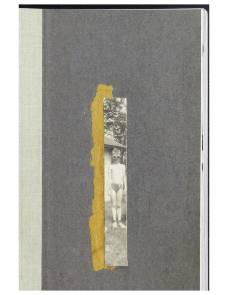 Nox Spanish Edition Anne Carson Kitap Kapağı