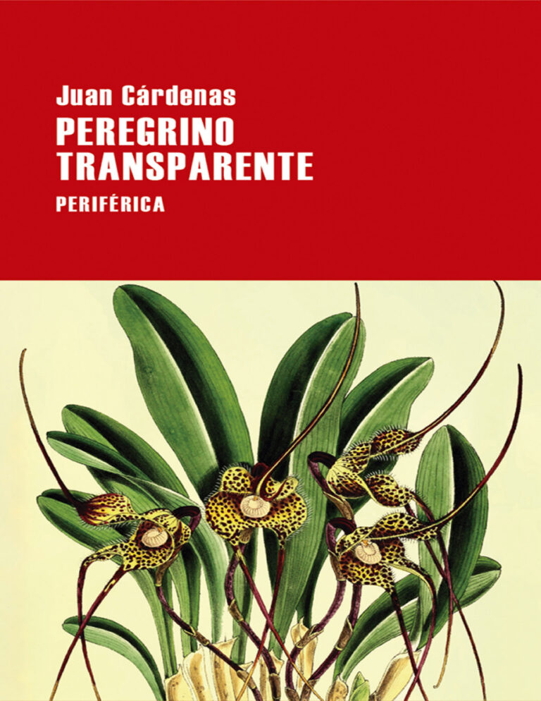 Peregrino Transparente Spanish Edition Juan Cardenas Kitap Kapağı