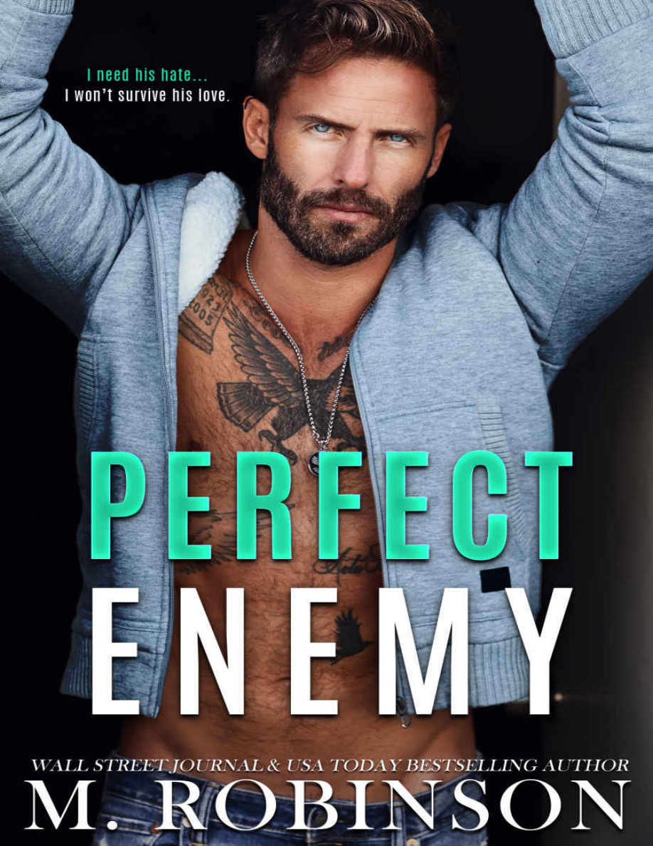 Perfect Enemy PDF Download