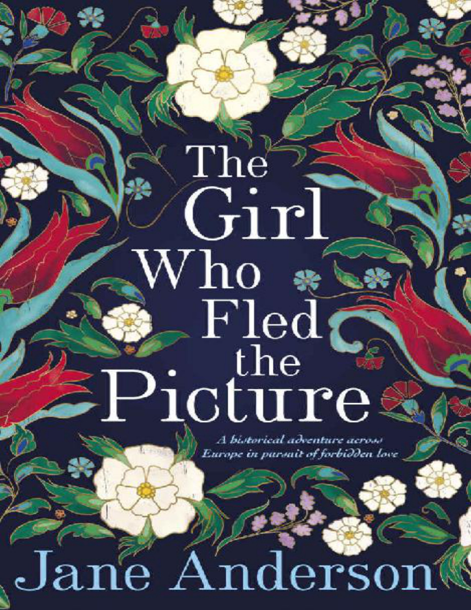The Girl Who Fled the Picture PDF Download