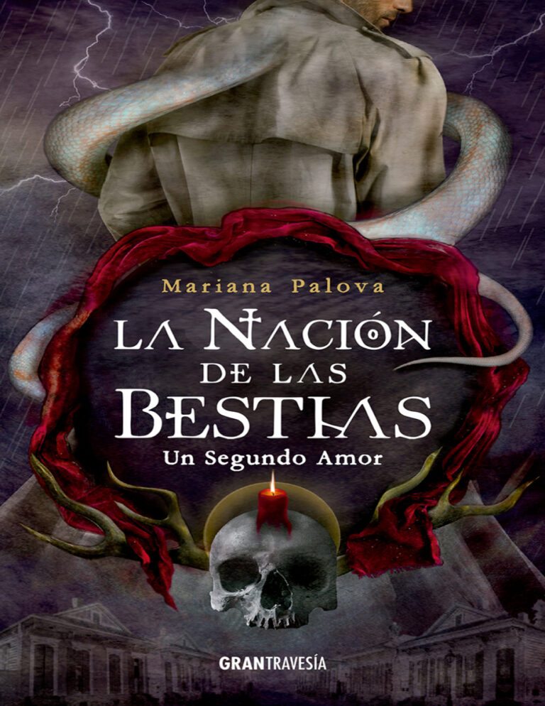 Un Segundo Amor Spanish Edition Mariana Palova Kitap Kapağı