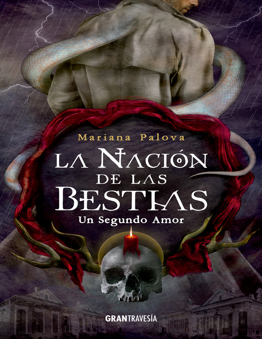 Un Segundo Amor PDF Download