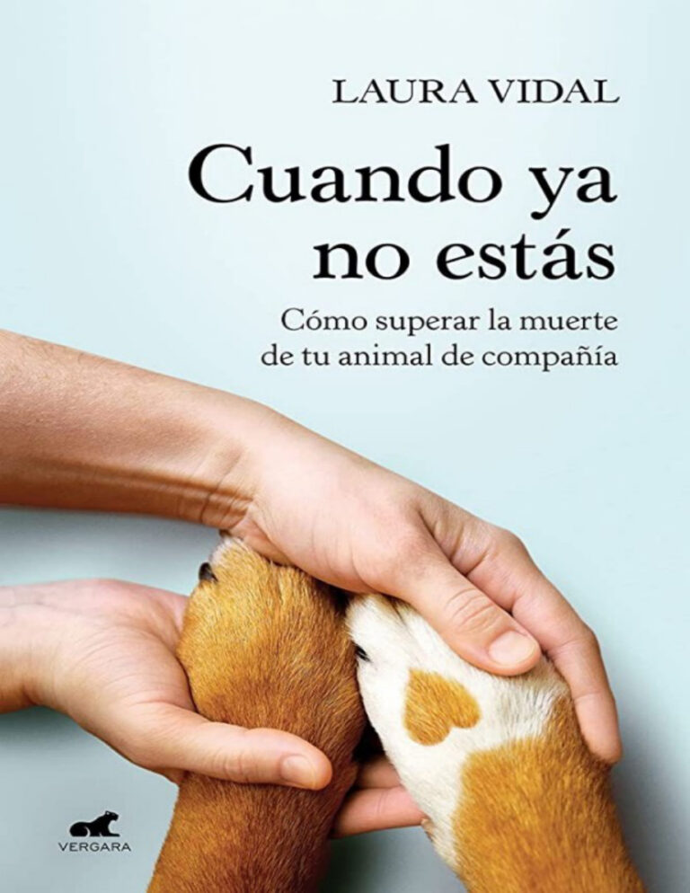 cuando ya no estas Spanish Edition laura vidal Kitap Kapağı