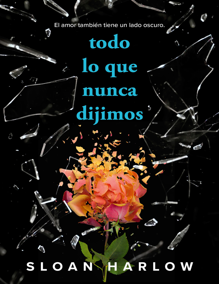 Todo lo que nunca dijimos PDF Download