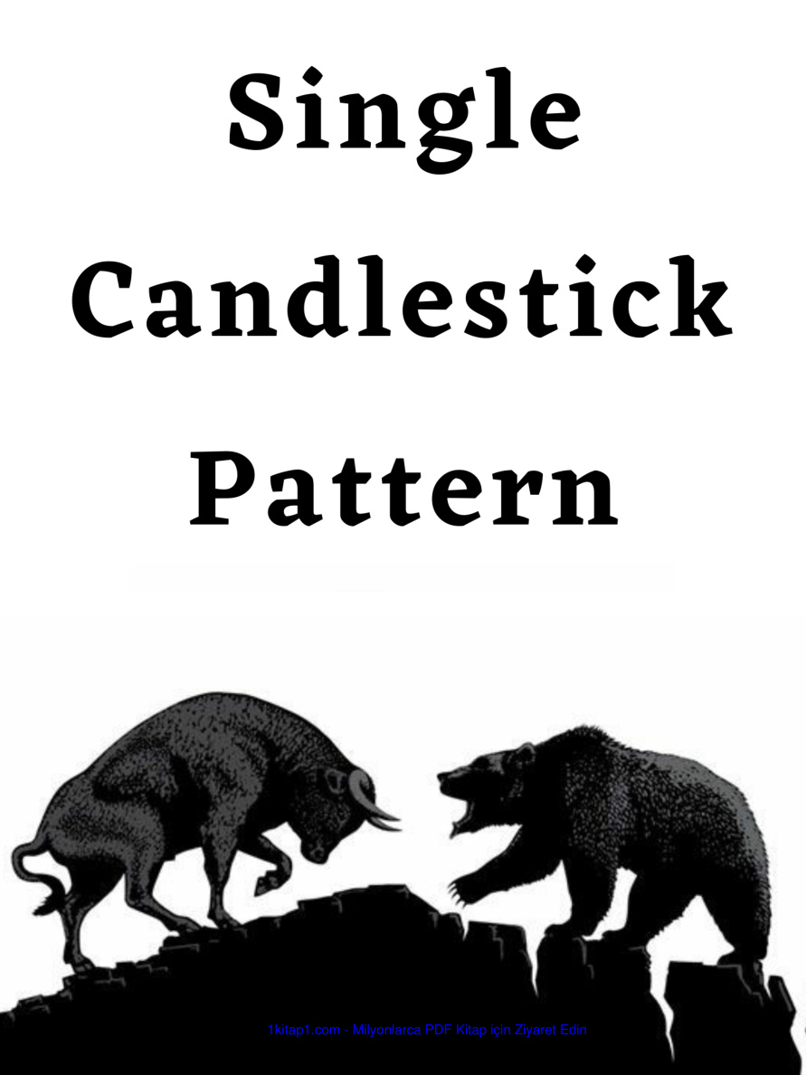 Candlestick patterns 231227 211504 Kitap Kapağı