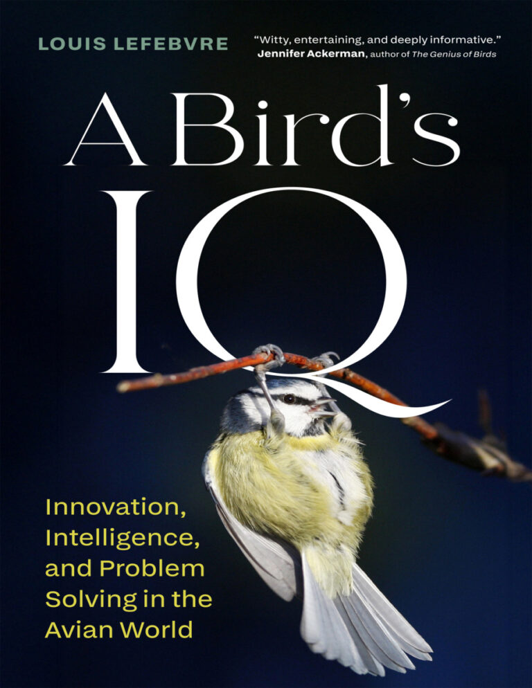 A Birds IQ Louis Lefebvre Kitap Kapağı