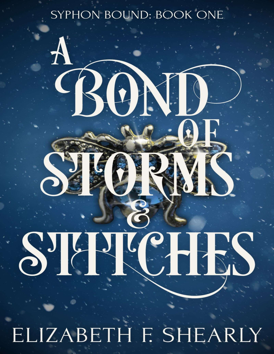 A Bond of Storms and Stitches Elizabeth F Shearly Kitap Kapağı
