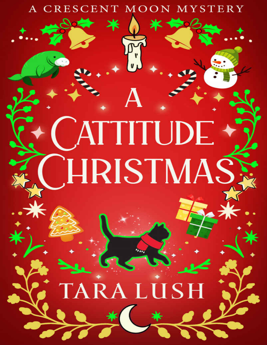 A Cattitude Christmas Tara Lush Kitap Kapağı