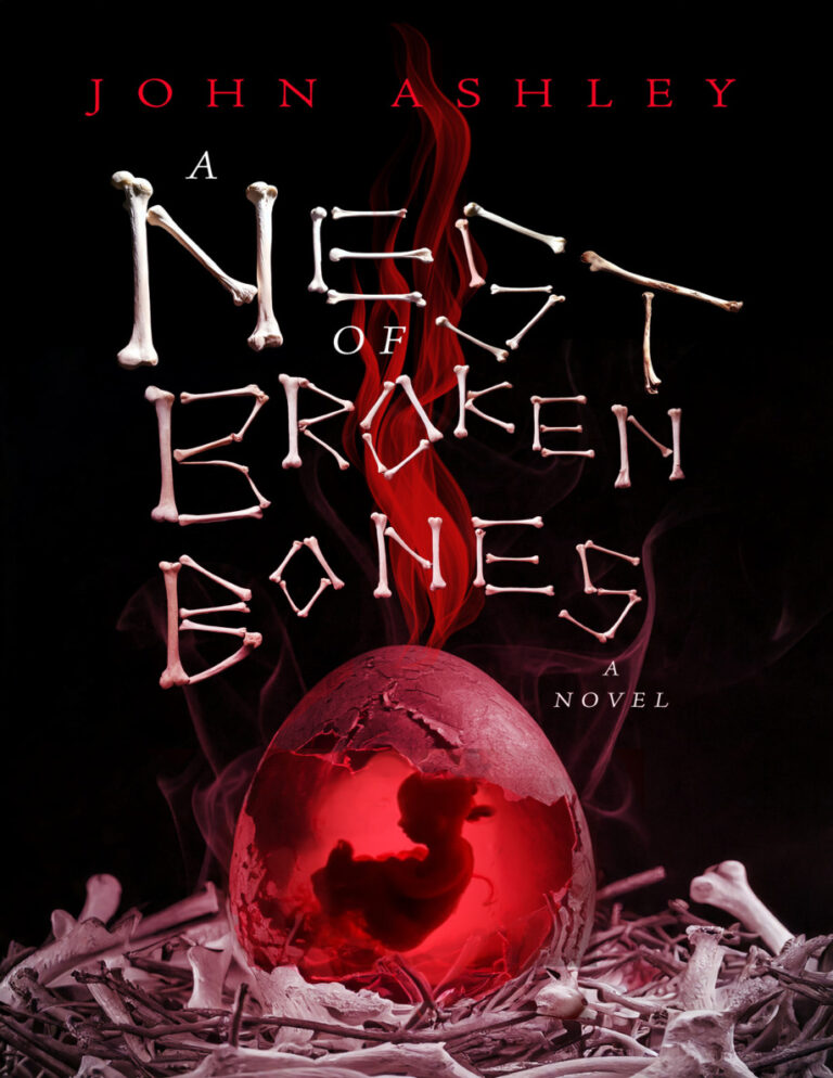 A Nest of Broken Bones John Ashley Kitap Kapağı