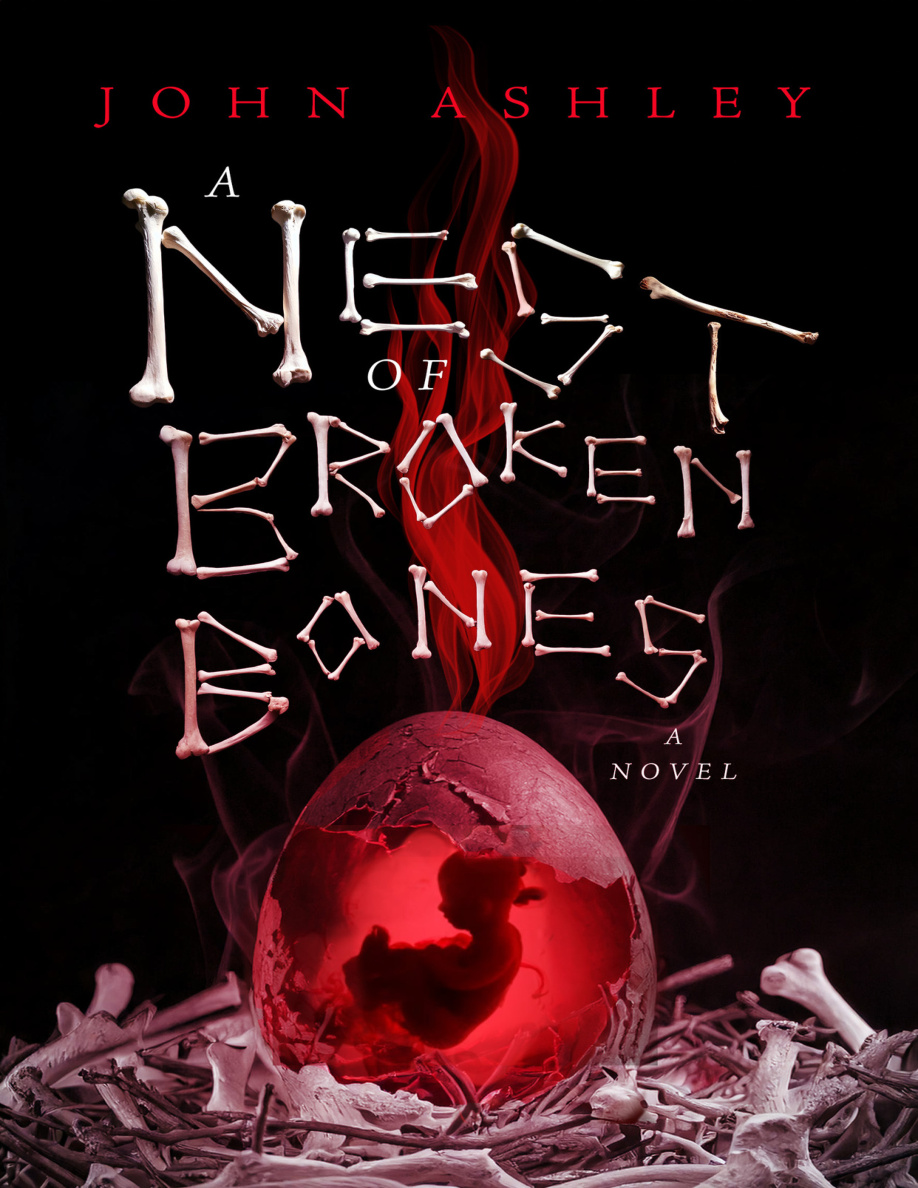 A Nest of Broken Bones John Ashley Kitap Kapağı