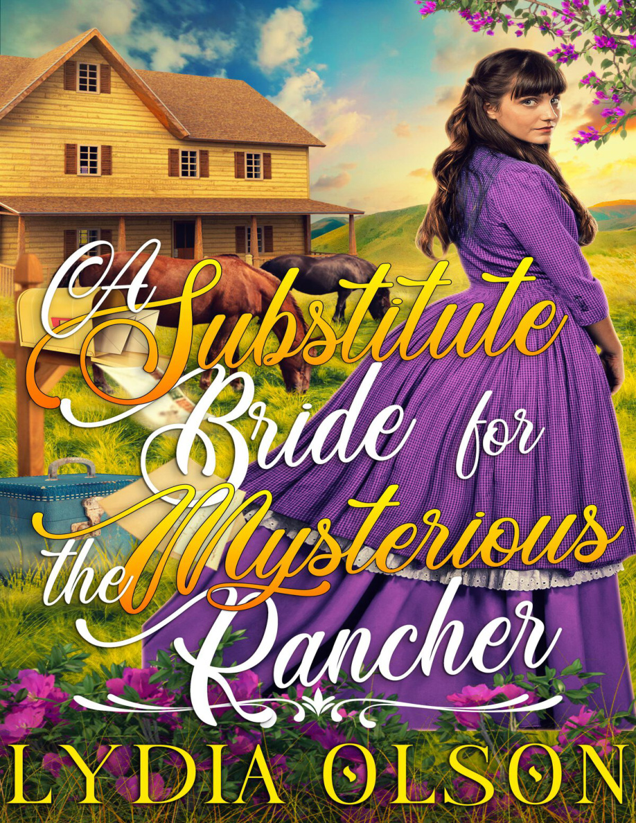 A Substitute Bride for the Mysterious Rancher PDF Download