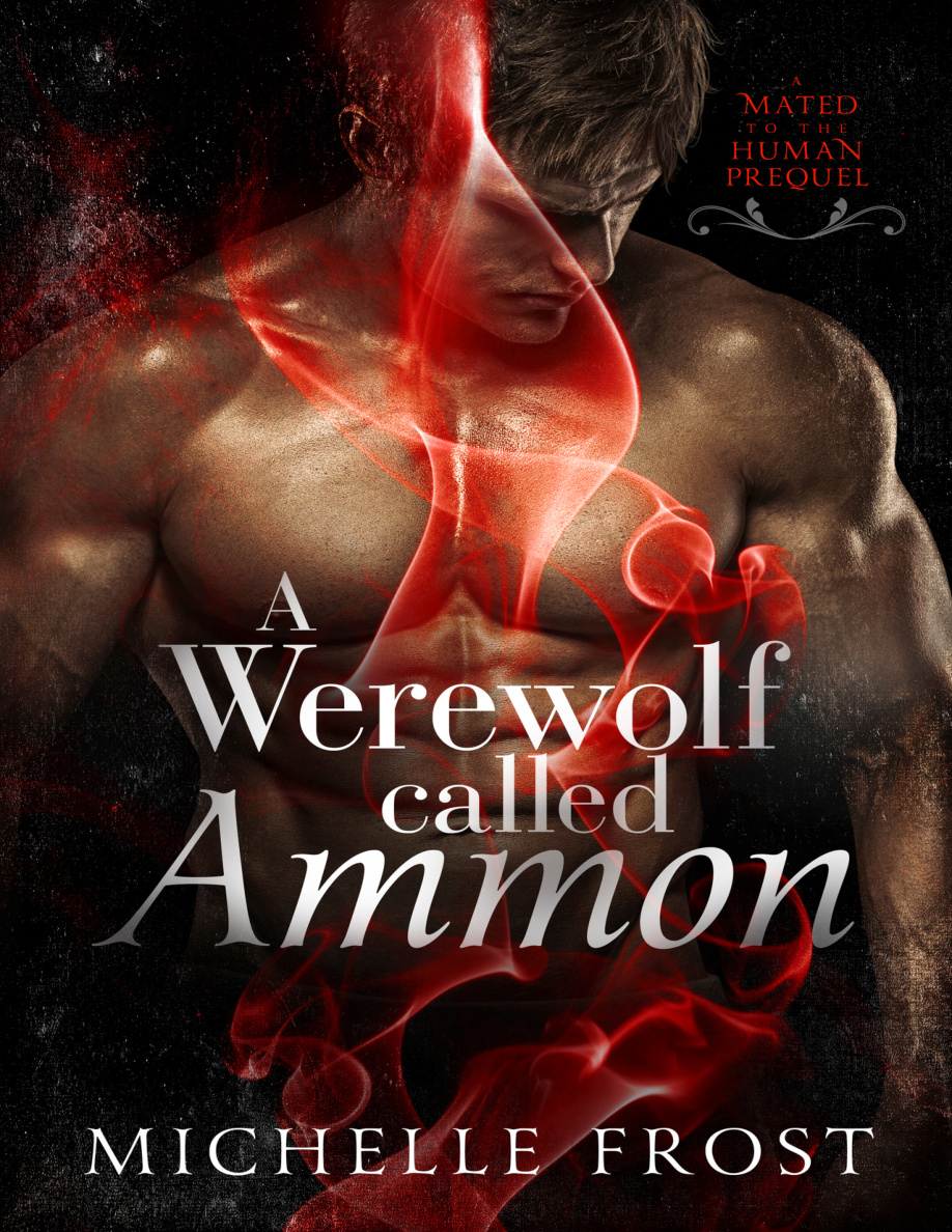 A Werewolf Called Ammon Michelle Frost Kitap Kapağı