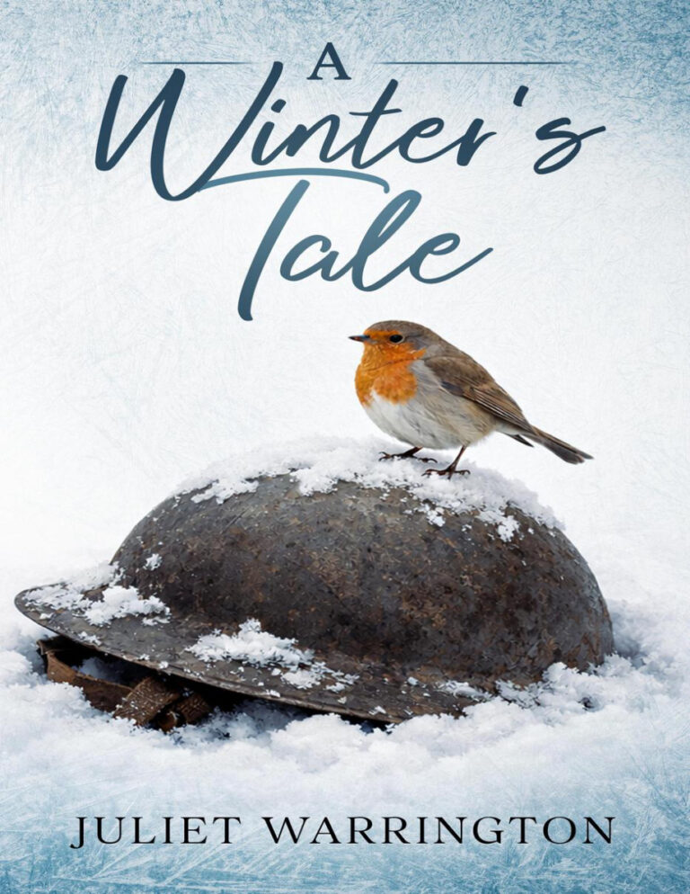 A Winters Tale Juliet Warrington Kitap Kapağı