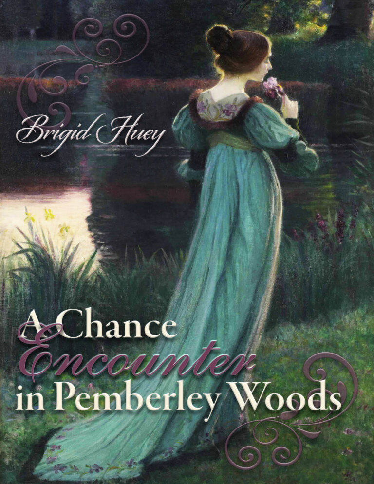 A chance encounter in pemberley woods Brigid Huey Kitap Kapağı