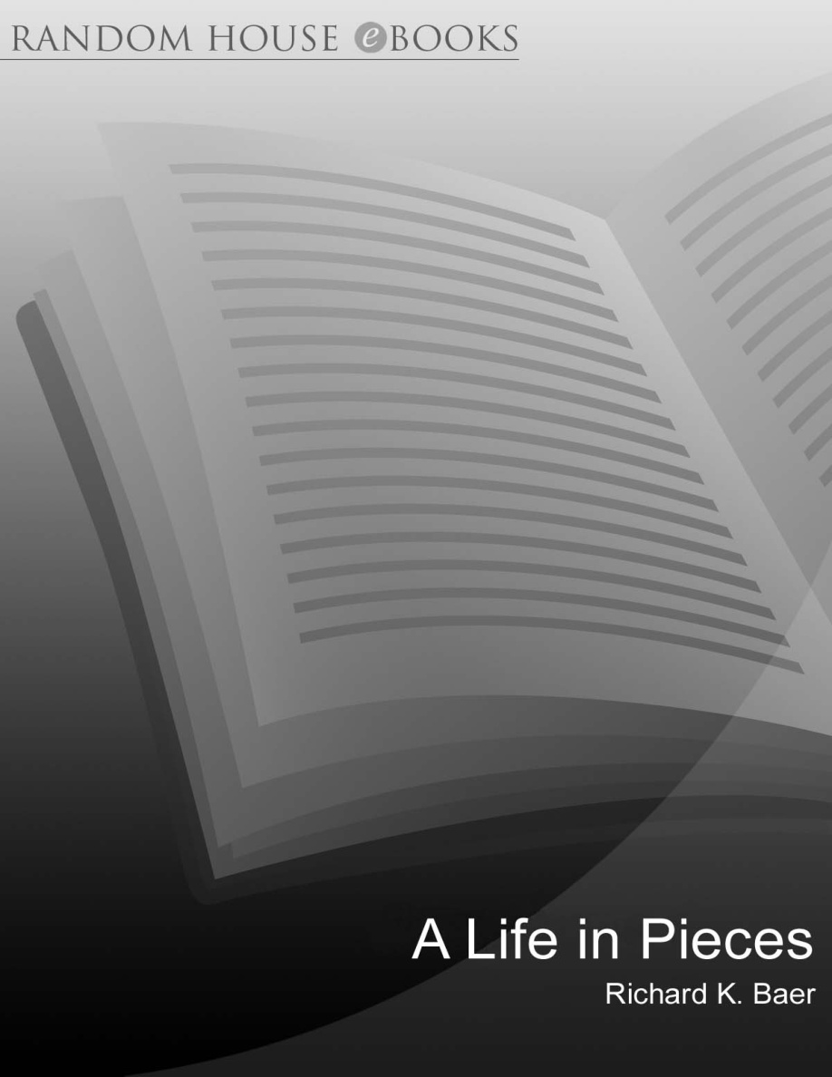 A Life in Pieces PDF Download