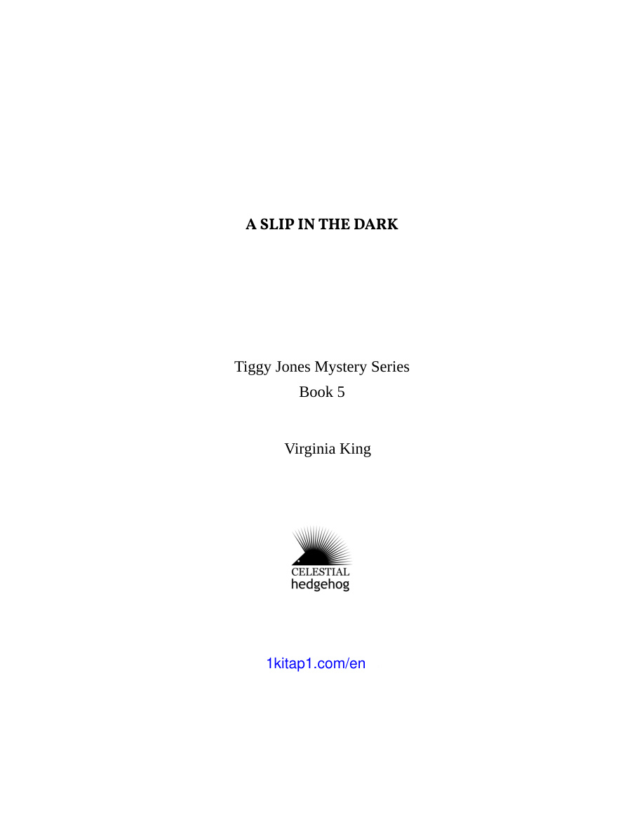 A Slip in the Dark PDF Download – Virginia King