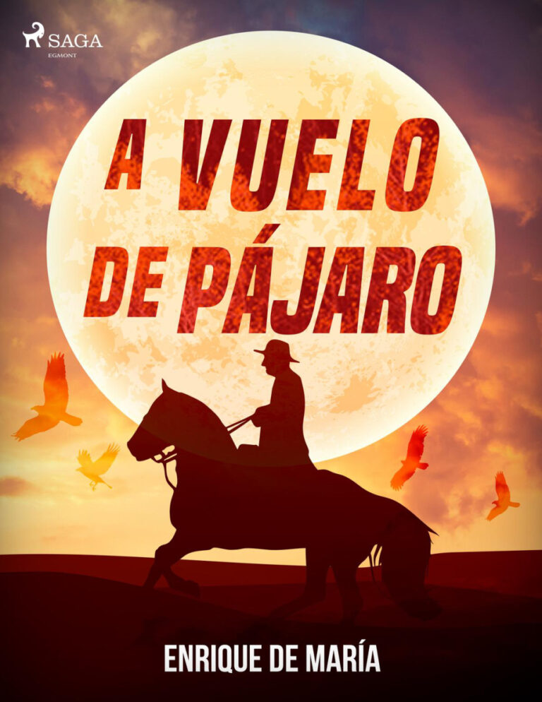 A vuelo de pajaro Spanish Edition Enrique De Maria Kitap Kapağı