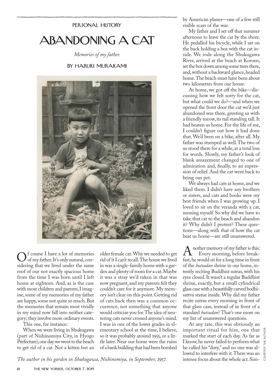 Abandoning a Cat PDF Download