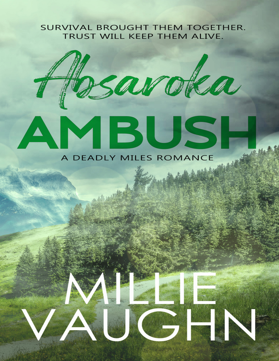 Absaroka Ambush PDF Download