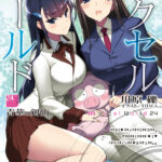 Accel World Vol24 Spanish Edition Reki Kawahara Kitap Kapağı