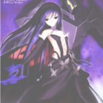 Accel World Volumen 11 Spanish Edition Reki Kawahara Kitap Kapağı