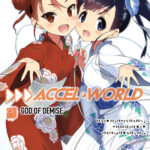 Accel World Volumen 25 Spanish Edition Reki Kawahara Kitap Kapağı