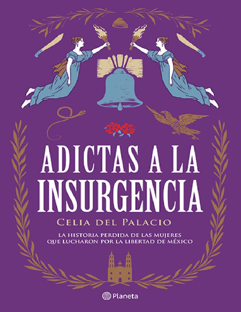 Adictas a la insurgencia Spanish Edition Celia del Palacio Kitap Kapağı