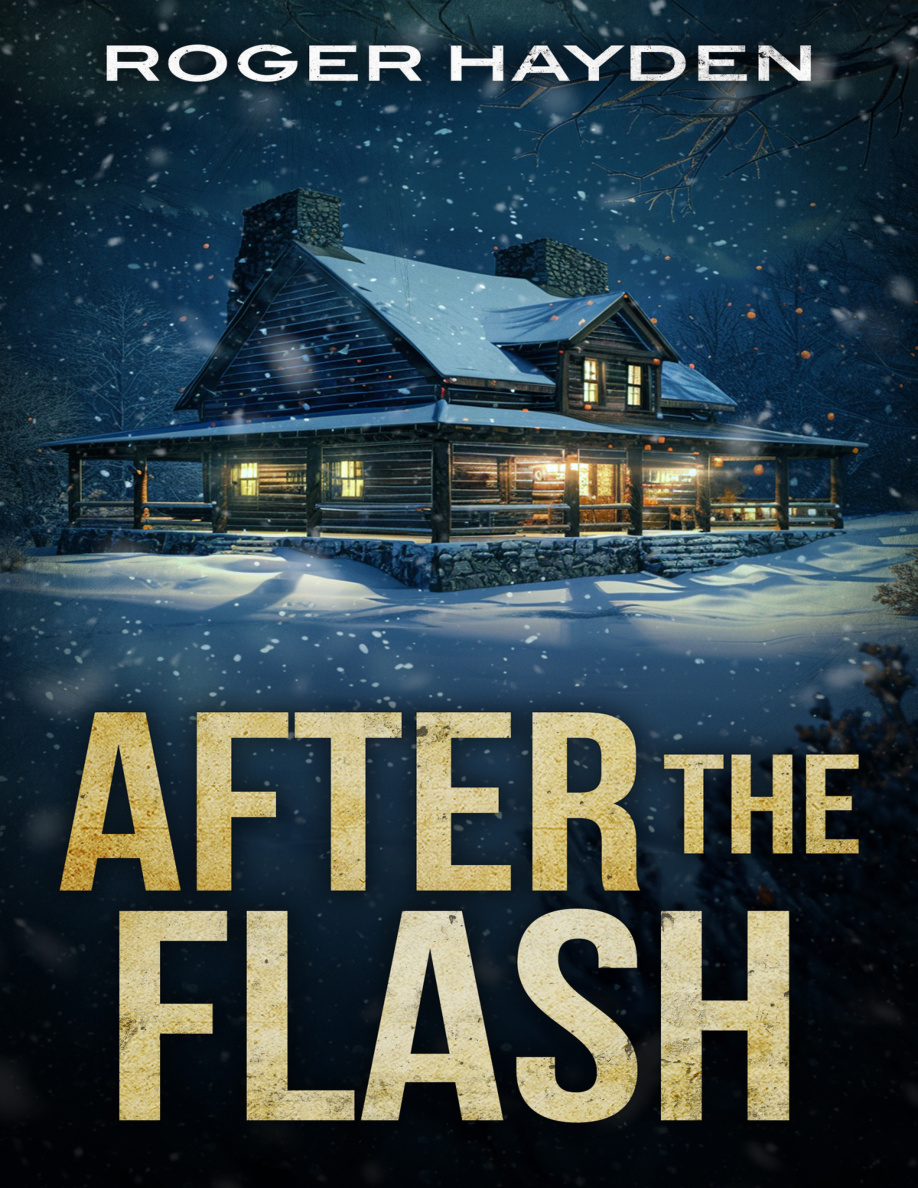 After The Flash PDF Download