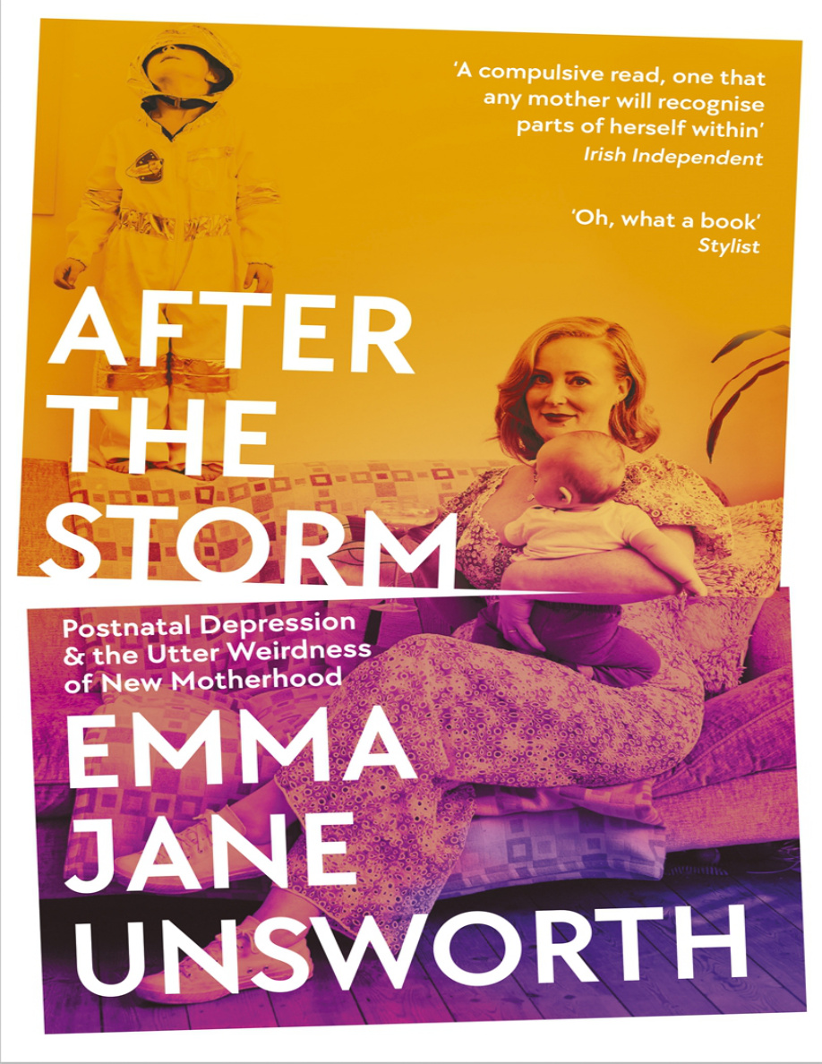 After the Storm PDF Download