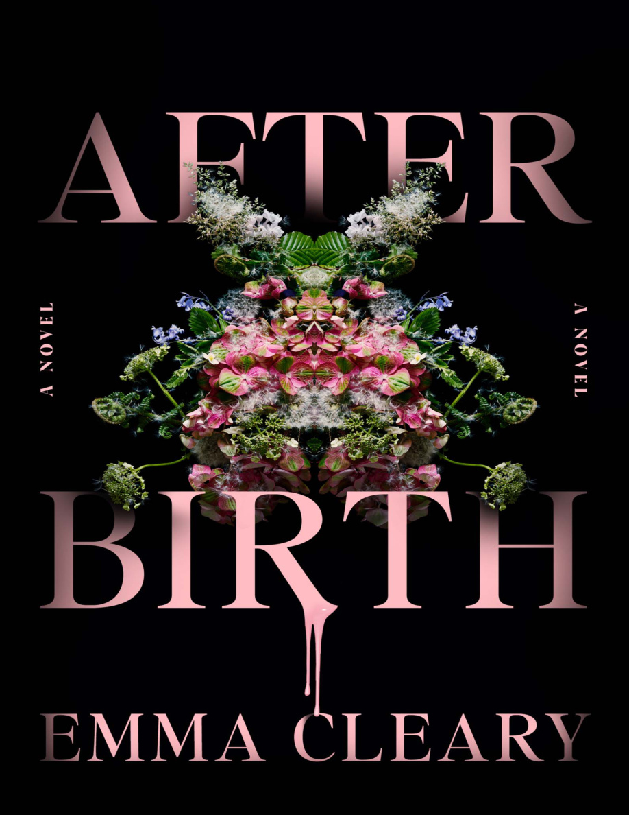 Afterbirth PDF Download