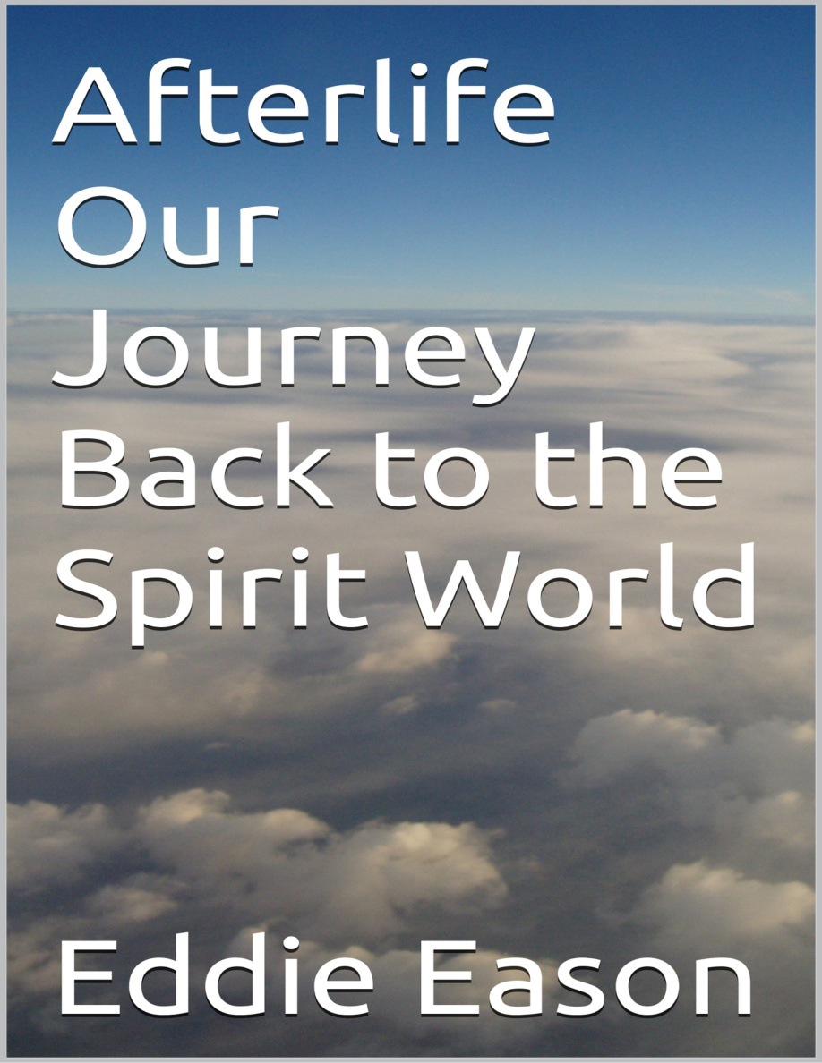 Afterlife: our Journey Back to the Spirit World PDF Download