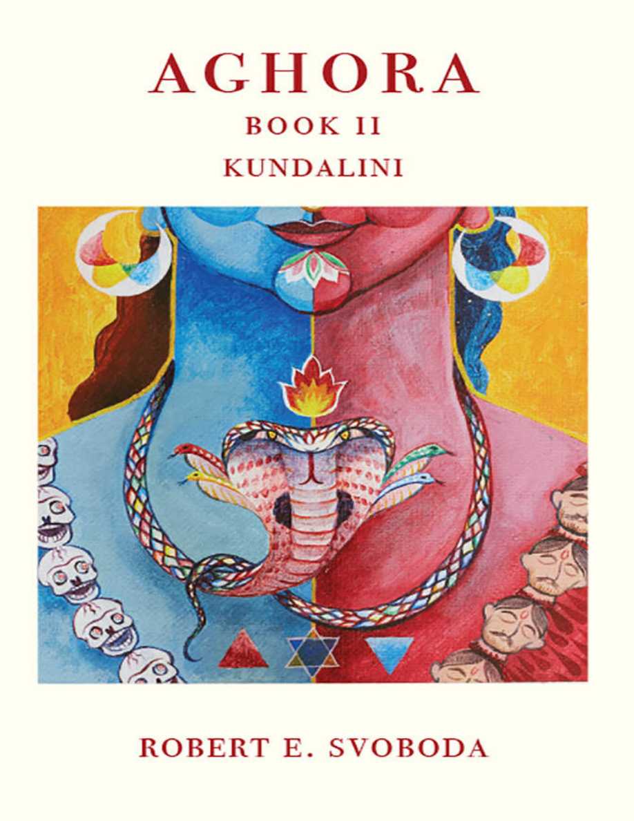 Aghora 2 PDF Download