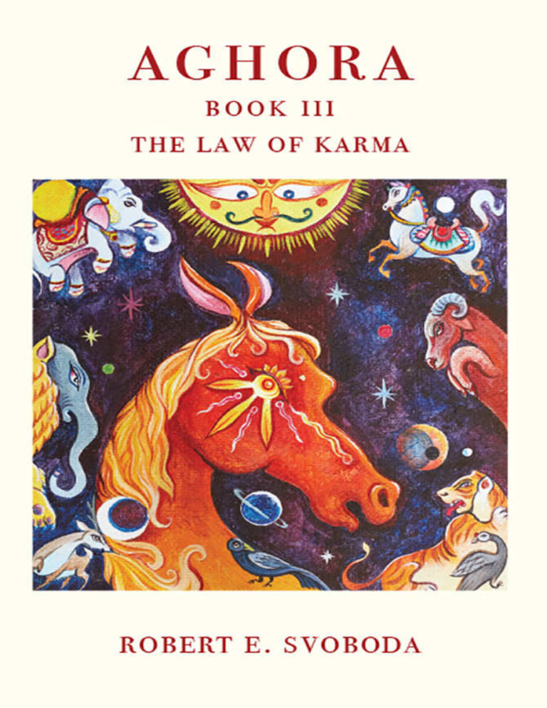 Aghora 3 Robert Svoboda Kitap Kapağı