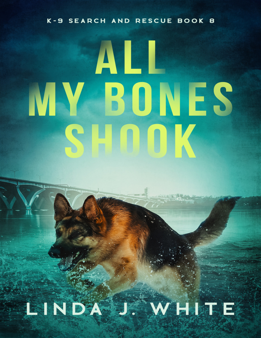 All My Bones Shook PDF Download